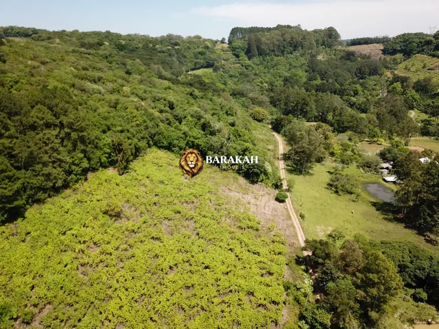 Imagem 7: Chácara à venda em Caxias do Sul/RS