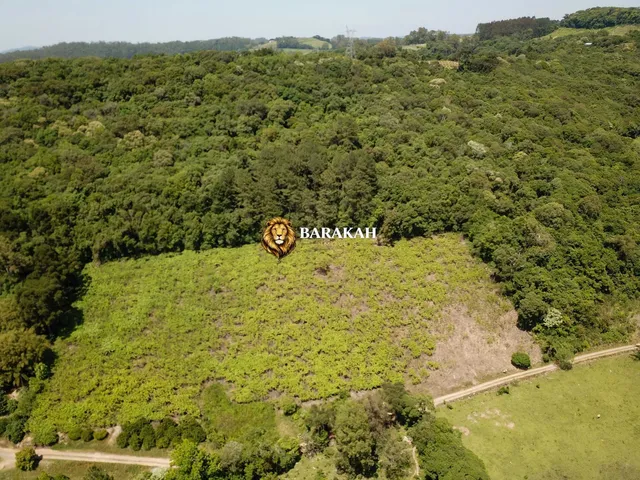 Imagem 2: Chácara à venda em Caxias do Sul/RS