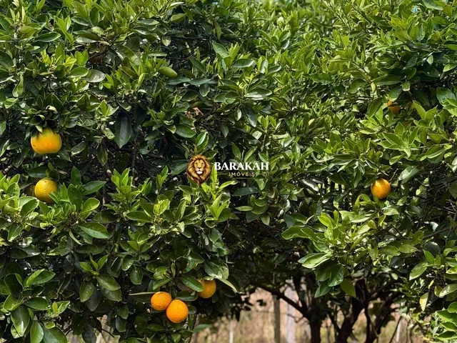 Imagem 8: Chácara à venda em Caxias do Sul/RS