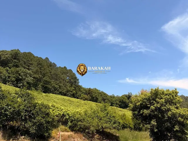 Imagem: Chácara à venda em Caxias do Sul/RS