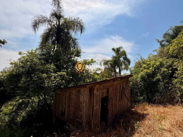 Imagem 8: Chácara à venda em Caxias do Sul/RS
