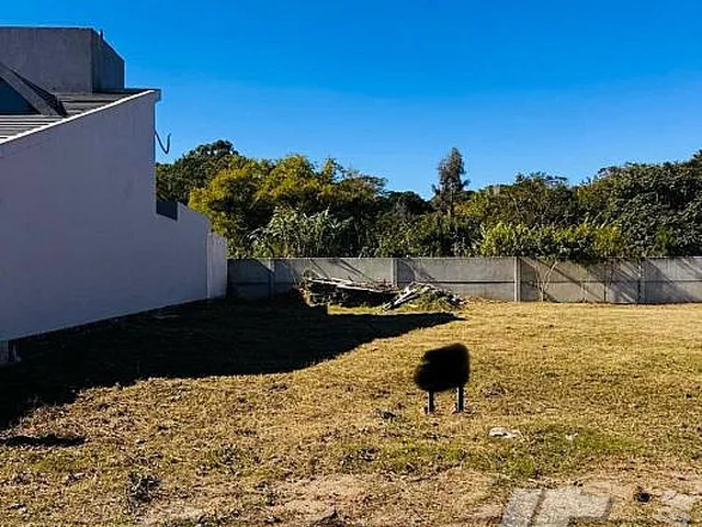 Imagem: Terreno a Venda no bairro Laranjal - Pelotas
