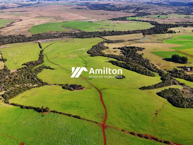 Imagem 5: Área Rural Região de Tupantuba - 105 Hectares com Excelente Potencial Agrícola