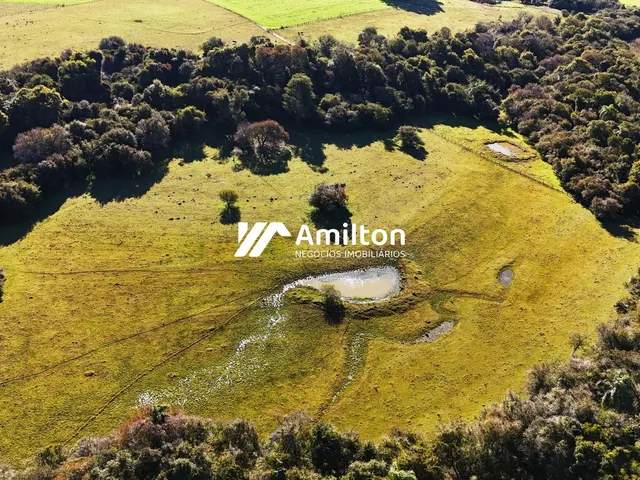 Imagem 11: Área Rural Região de Tupantuba - 105 Hectares com Excelente Potencial Agrícola