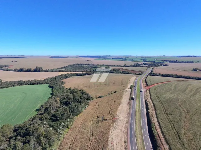Imagem: Área Rural 6,8 Alqueires em Cascavel