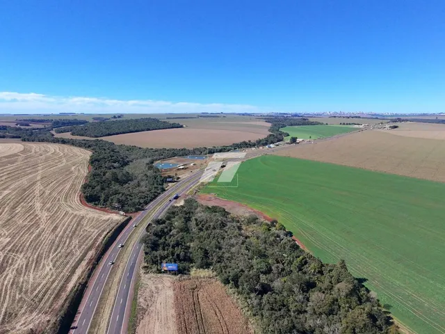 Imagem 4: Área Rural 6,8 Alqueires em Cascavel