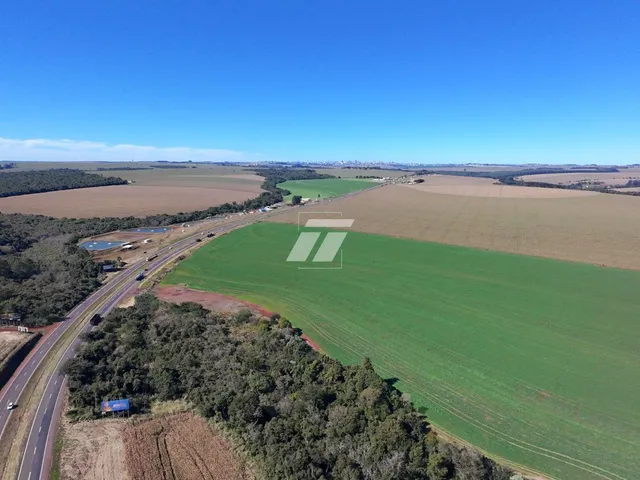 Imagem 3: Área Rural 6,8 Alqueires em Cascavel