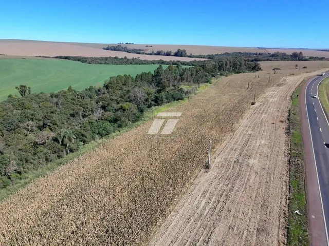 Imagem 2: Área Rural 6,8 Alqueires em Cascavel