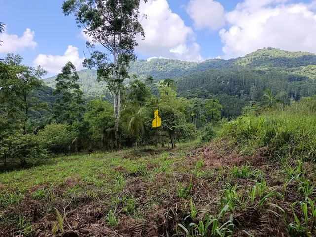 Imagem: Terreno na Cidade de Rio dos Cedros/Sc