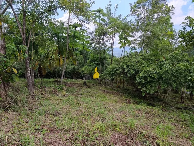 Imagem 4: Terreno na Cidade de Rio dos Cedros/Sc
