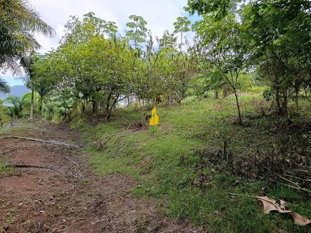 Imagem 8: Terreno na Cidade de Rio dos Cedros/Sc