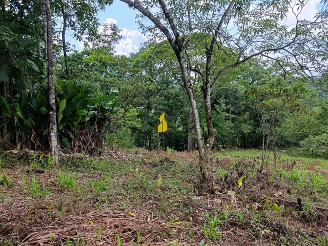 Imagem 5: Terreno na Cidade de Rio dos Cedros/Sc
