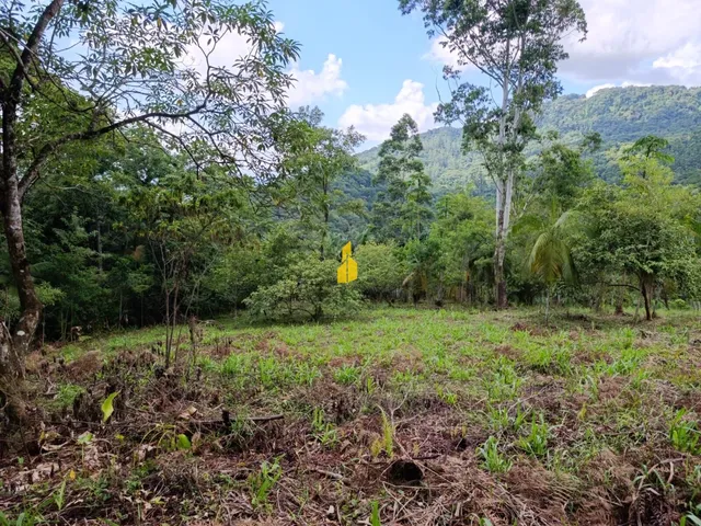 Imagem 2: Terreno na Cidade de Rio dos Cedros/Sc