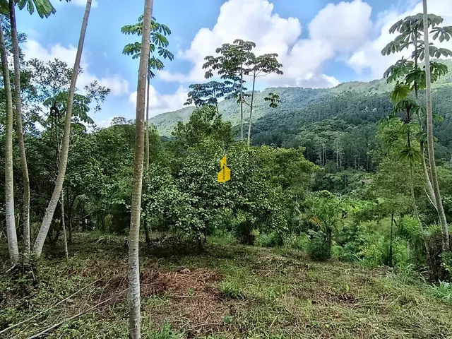 Imagem 7: Terreno na Cidade de Rio dos Cedros/Sc