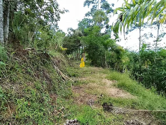 Imagem 3: Terreno na Cidade de Rio dos Cedros/Sc