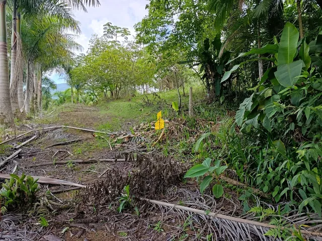 Imagem 6: Terreno na Cidade de Rio dos Cedros/Sc
