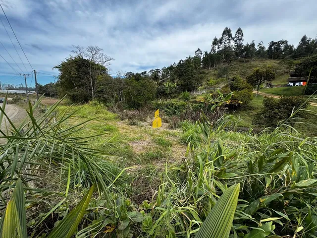 Imagem 3: Terreno À Venda no Bairro santa Maria - Benedito Novo/Sc
