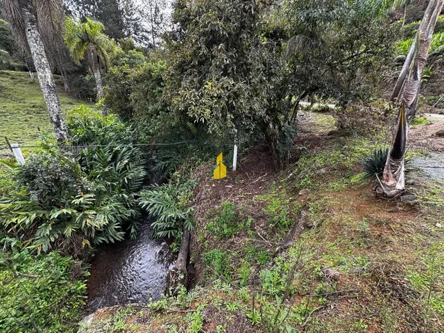Imagem 7: Terreno À Venda no Bairro santa Maria - Benedito Novo/Sc
