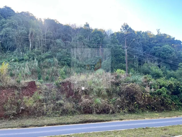 Imagem: Terreno À Venda na Rs-235 Linha Imperial