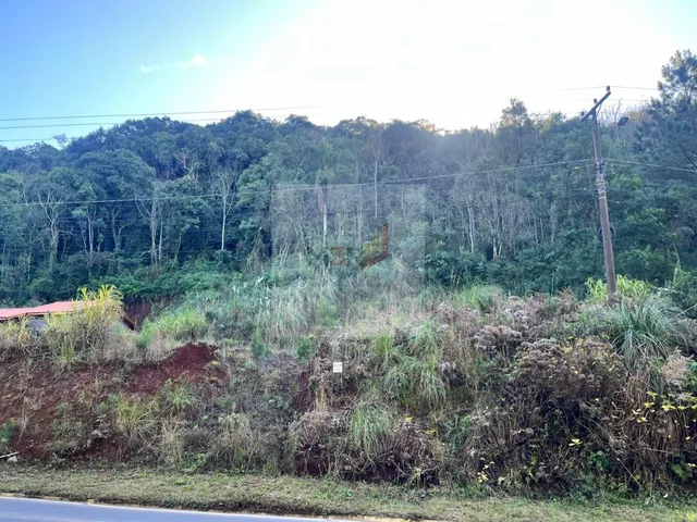 Imagem 4: Terreno À Venda na Rs-235 Linha Imperial Nova Petrópolis