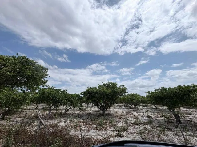 Imagem: Terreno Residencial em Pacajus - Ce, Tiririca