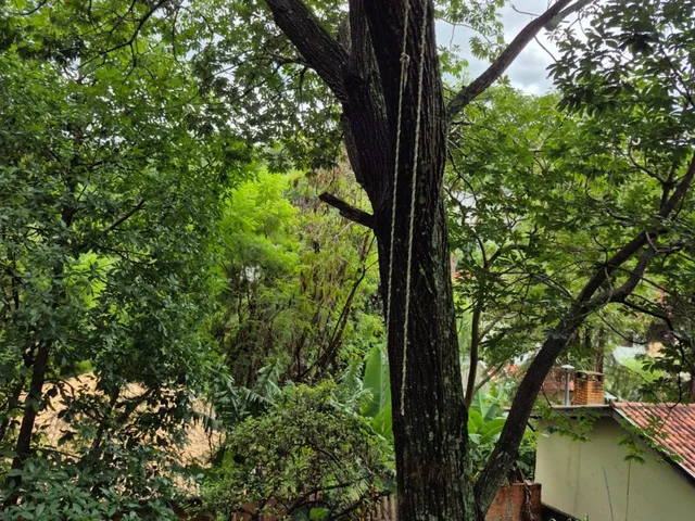 Imagem 14: 0 Chácara com 8 dormitórios