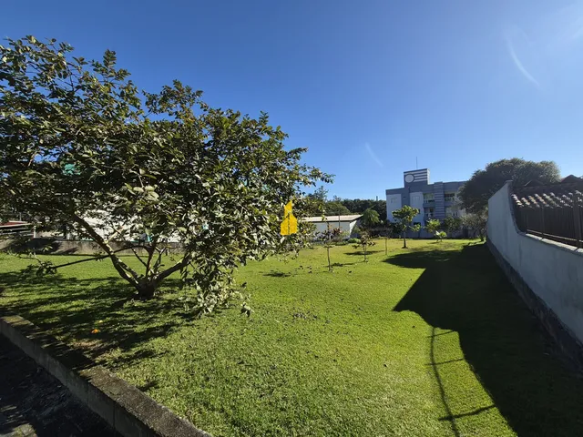 Imagem 7: Terreno Potencial Comercial em Timbó-Sc