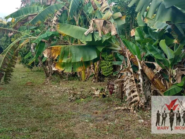 Imagem 2: Chácara À Venda no Bairro Vila Cascata das Antas - Poços de Caldas/Mg