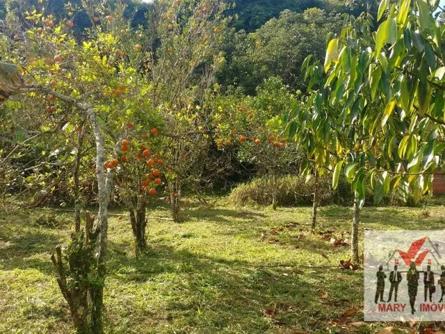 Imagem 10: Chácara À Venda no Bairro Vila Cascata das Antas - Poços de Caldas/Mg