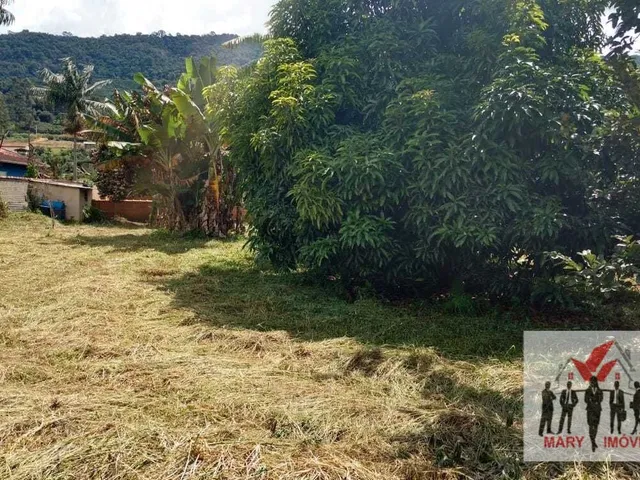 Imagem 7: Chácara À Venda no Bairro Vila Cascata das Antas - Poços de Caldas/Mg