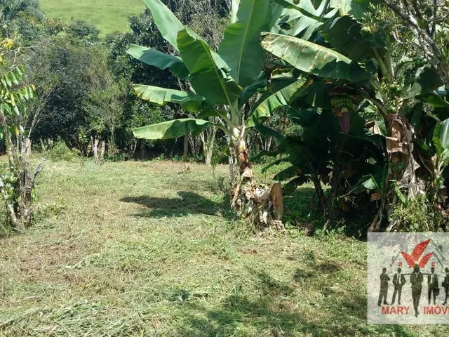 Imagem 5: Chácara À Venda no Bairro Vila Cascata das Antas - Poços de Caldas/Mg