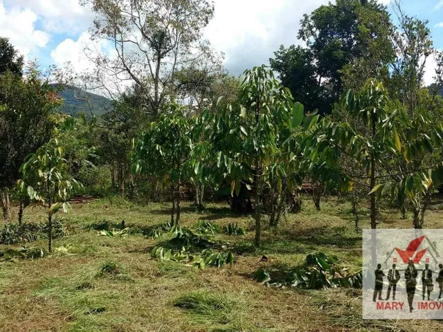 Imagem 4: Chácara À Venda no Bairro Vila Cascata das Antas - Poços de Caldas/Mg