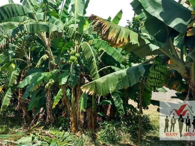 Imagem 11: Chácara À Venda no Bairro Vila Cascata das Antas - Poços de Caldas/Mg