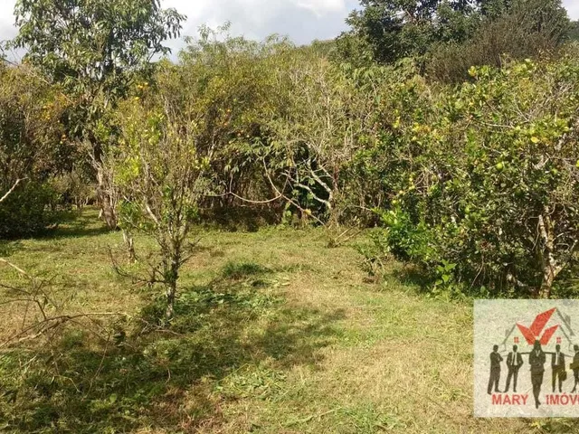 Imagem 8: Chácara À Venda no Bairro Vila Cascata das Antas - Poços de Caldas/Mg