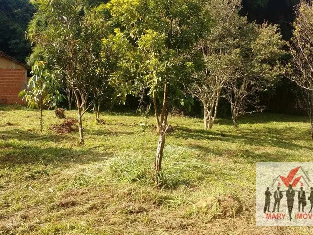 Imagem 3: Chácara À Venda no Bairro Vila Cascata das Antas - Poços de Caldas/Mg