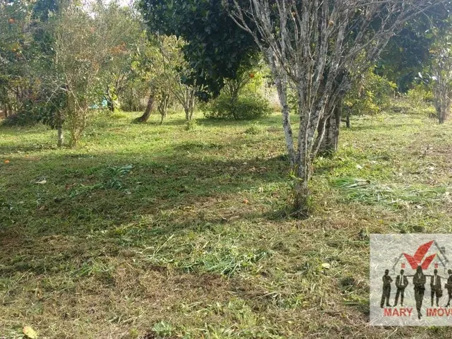 Imagem 12: Chácara À Venda no Bairro Vila Cascata das Antas - Poços de Caldas/Mg