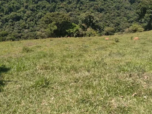 Imagem 11: Sítio À Venda no Bairro Centro - Caldas/Mg