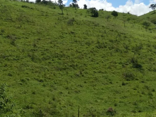 Imagem 14: Sítio À Venda no Bairro Centro - Caldas/Mg