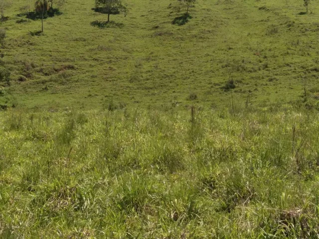 Imagem 8: Sítio À Venda no Bairro Centro - Caldas/Mg