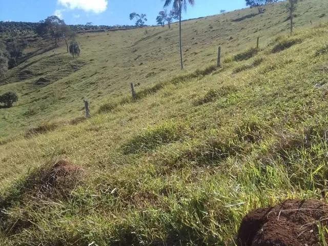 Imagem 7: Sítio À Venda no Bairro Centro - Caldas/Mg