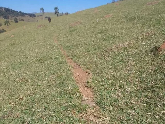Imagem 12: Sítio À Venda no Bairro Centro - Caldas/Mg