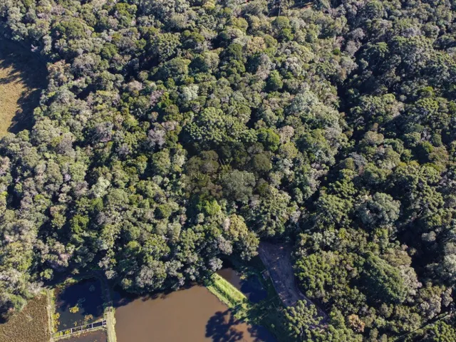 Imagem 5: 0 Fazenda / sítio com venda por R$5.498.000