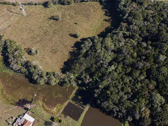 Imagem 3: 0 Fazenda / sítio com venda por R$5.498.000
