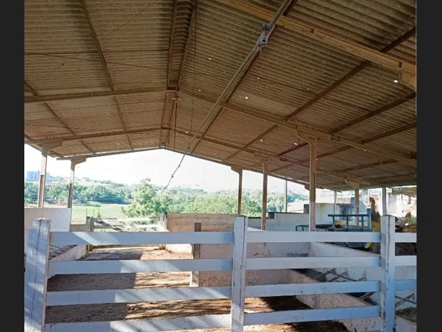 Imagem 6: Sítio de 5 alqueires próximo ao perímetro urbano de Apucarana/PR