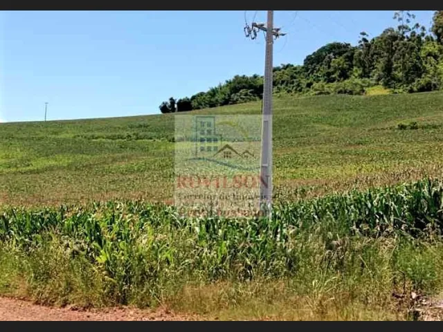 Imagem: Sítio de 5,1 alqueires em Apucarana/PR