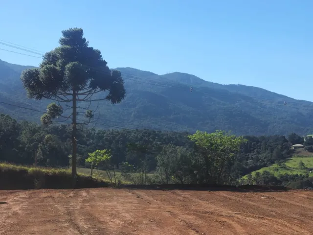 Imagem 13: Terreno À Venda em Joanópolis-Sp, Bairro Moenda, com 16.584,00 M² de Área!