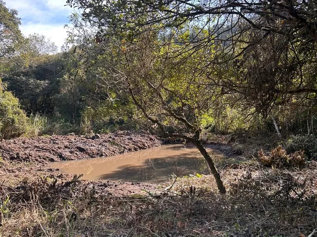 Imagem 12: Terreno À Venda em Joanópolis-Sp, Bairro Moenda, com 16.584,00 M² de Área!