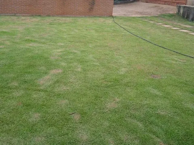 Imagem 16: Chácara À Venda no Bairro Centro - Bandeira do Sul/Mg