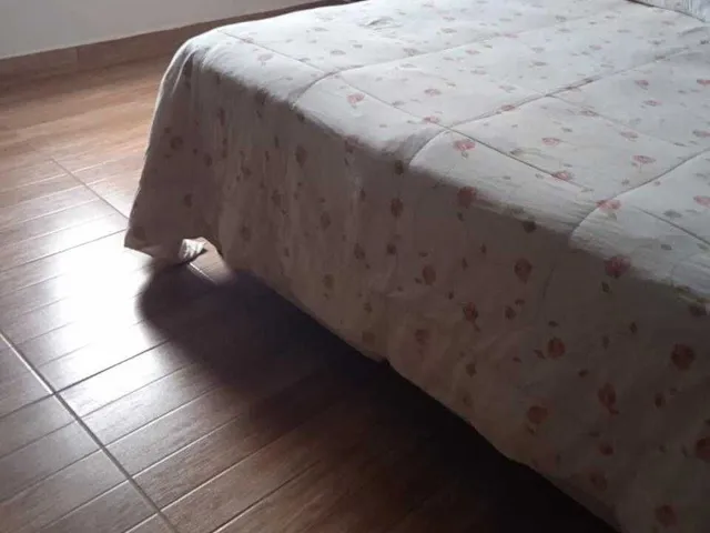 Imagem 15: Chácara À Venda no Bairro Centro - Bandeira do Sul/Mg