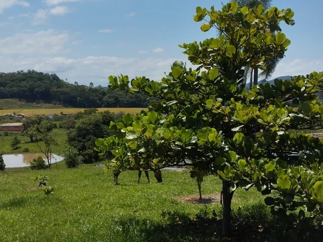 Imagem 6: Lindo Sitio a Venda com Otimo Infra Estrutura
